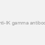 Anti-IK gamma antibody
